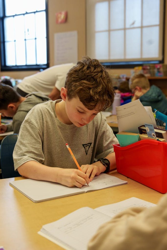 Free stock photo of my selections